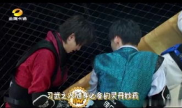 疯狂的麦咭电视剧,揭秘神秘古堡，挑战极限智慧，勇闯惊险之旅